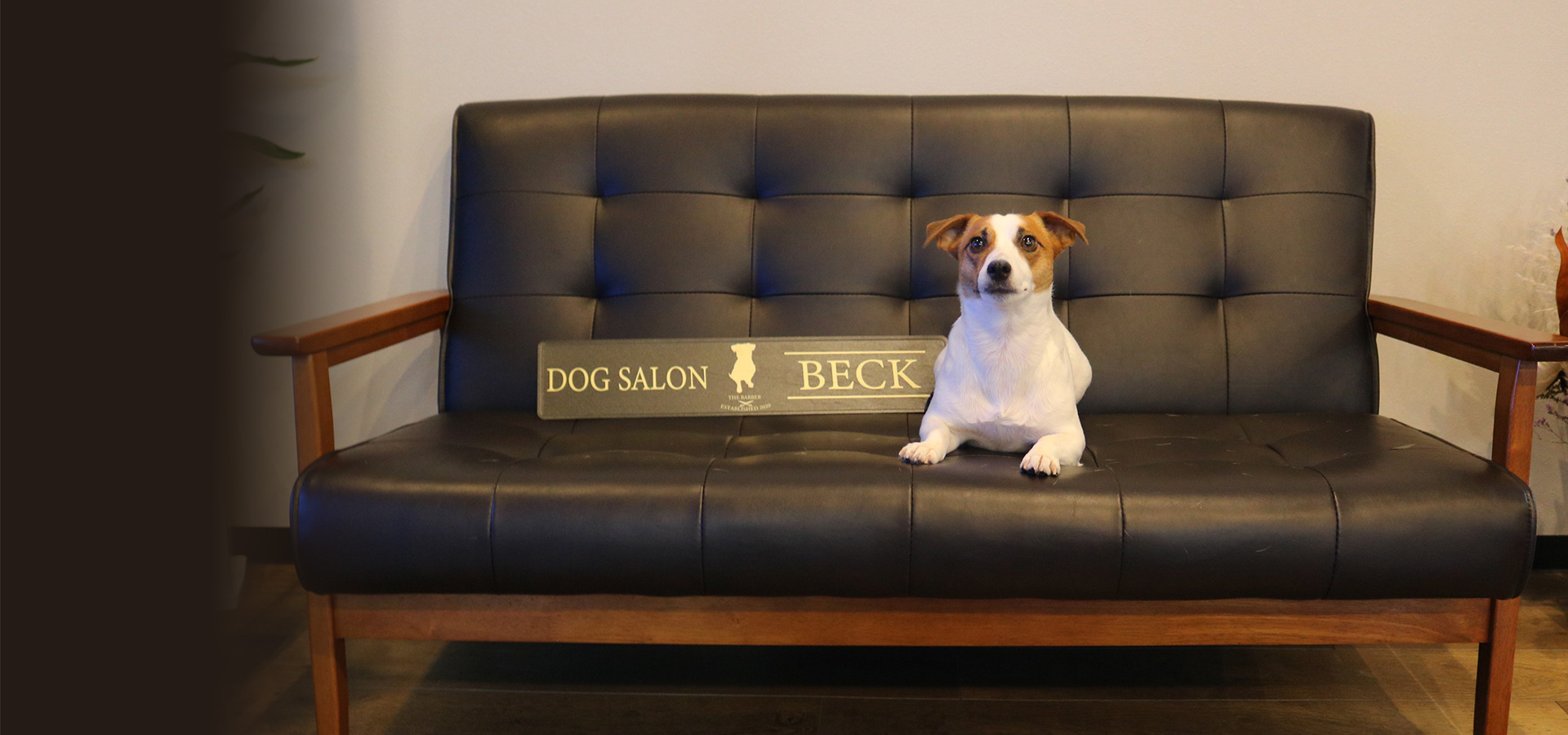 DOG SALON BECK