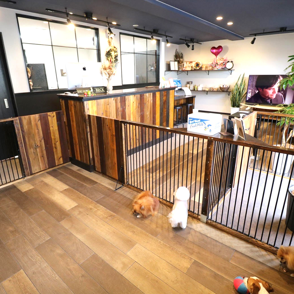 DOG SALON BECK｜清須市のアットホームなトリミングサロン